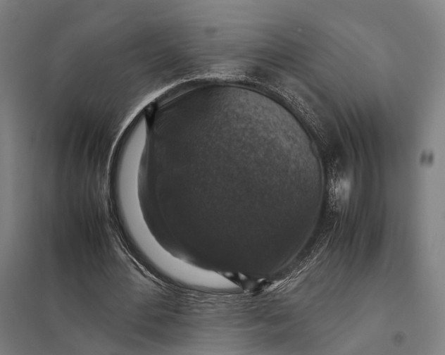 X0000097920484200803281429