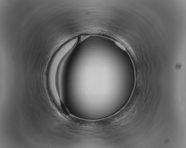 X0000097920485200803281429