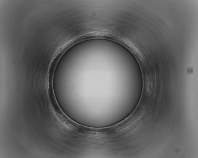 X0000097920486200803281429