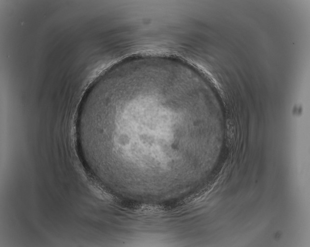 X0000097920487200803281429