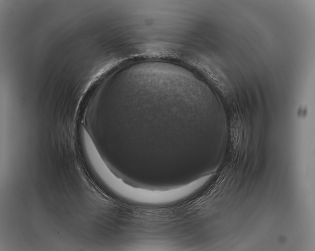 X0000097920488200803281429