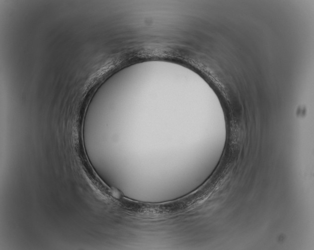 X0000097920489200803281429