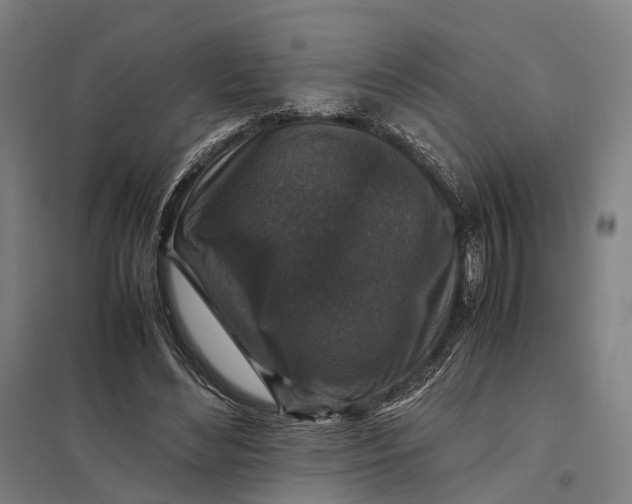 X0000097920492200803281429