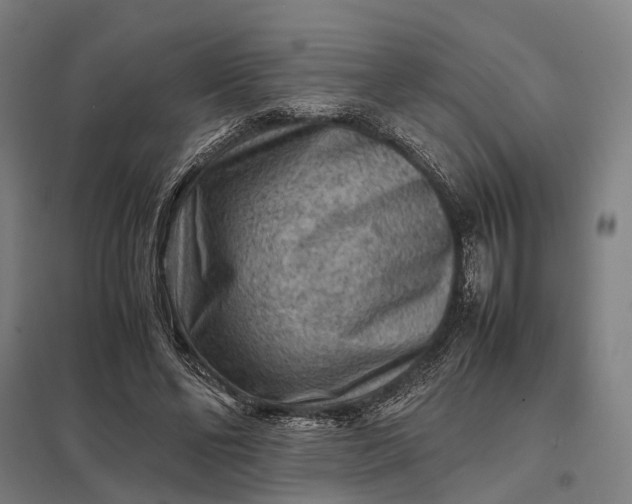 X0000097920494200803281429