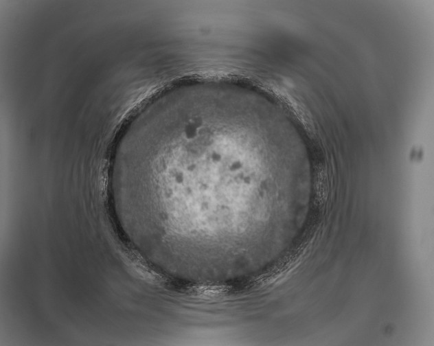 X0000097920495200803281429