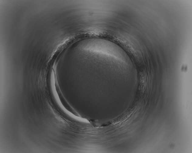 X0000097920496200803281429