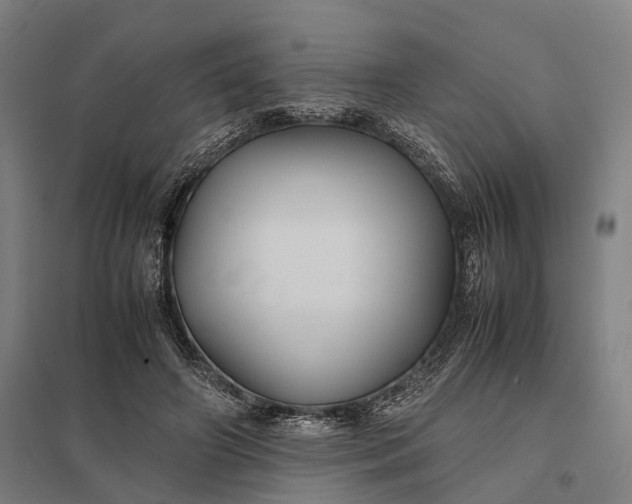 X0000097920498200803281429