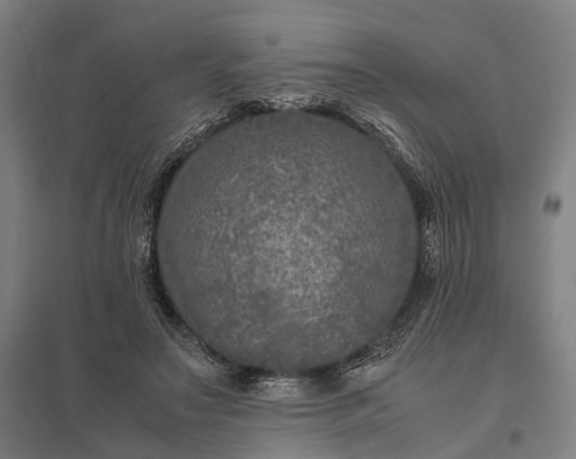 X0000097920499200803281429