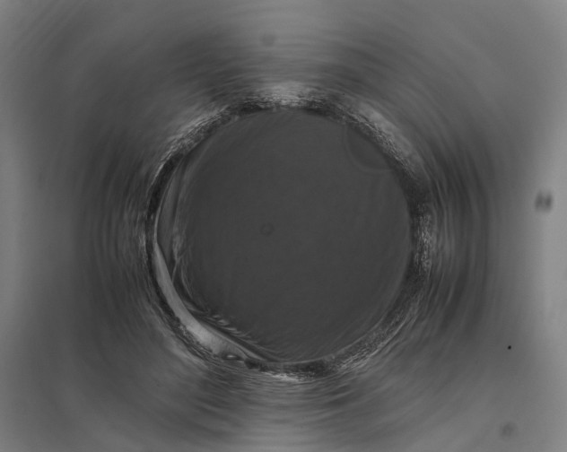 X0000097920500200803281429