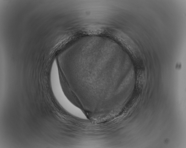 X0000097920501200803281429