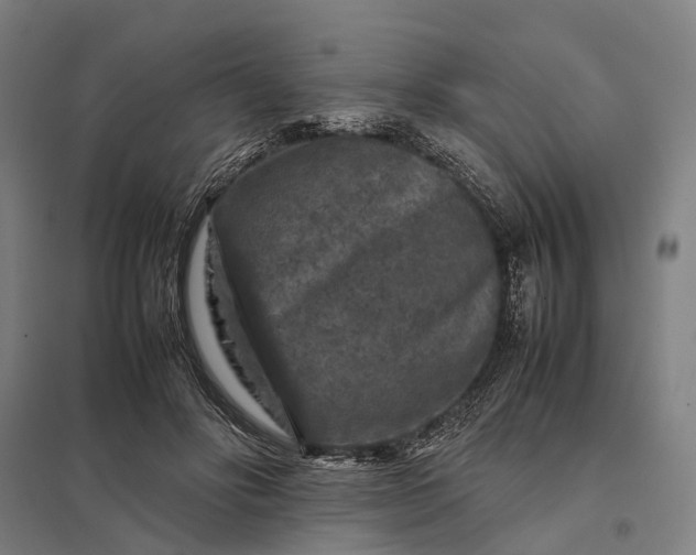 X0000097920502200803281429