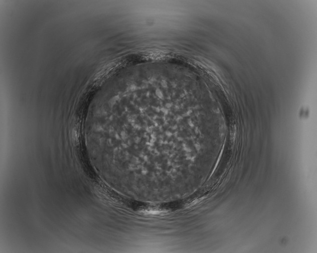 X0000097920503200803281429