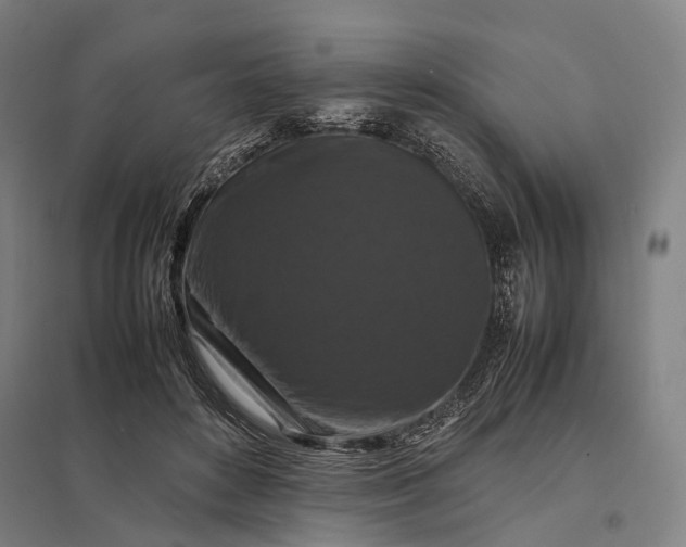 X0000097920504200803281429