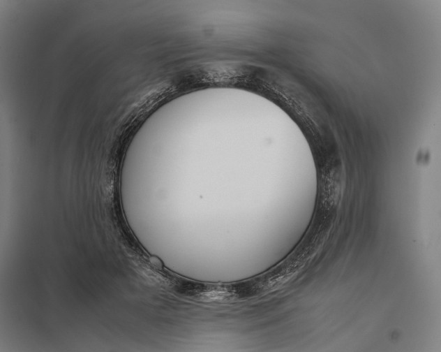 X0000097920505200803281429