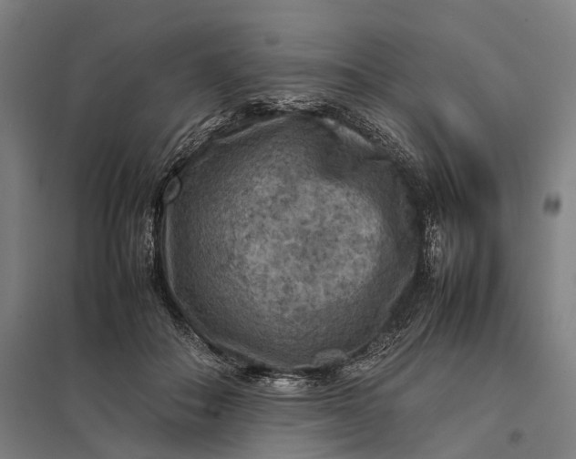 X0000097920506200803281429