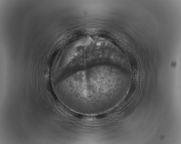 X0000097920507200803281429