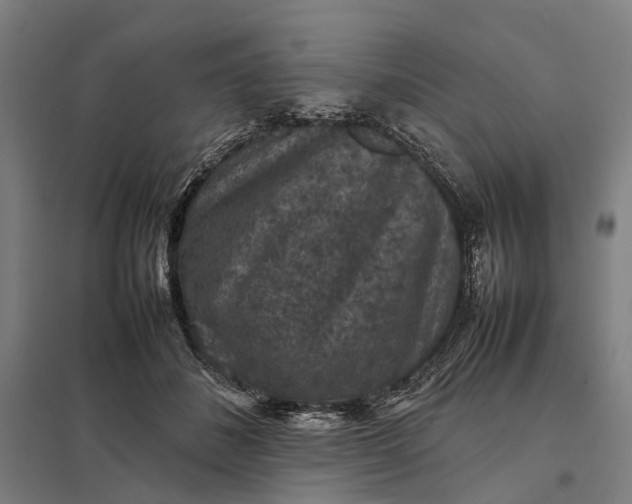 X0000097920508200803281429