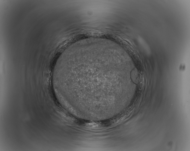 X0000097920511200803281429