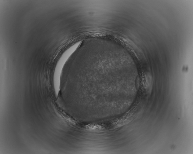 X0000097920512200803281429