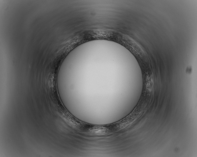 X0000097920514200803281429