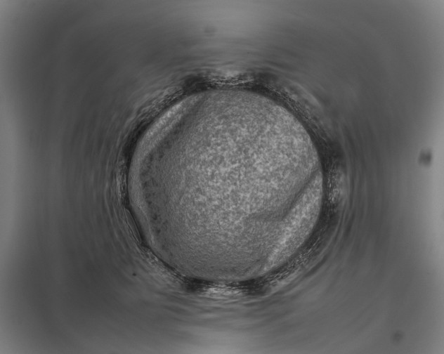 X0000097920515200803281429