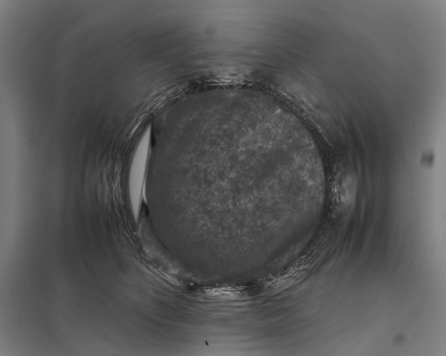 X0000097920516200803281429