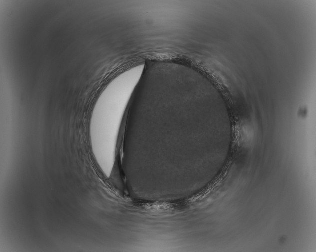 X0000097920517200803281429