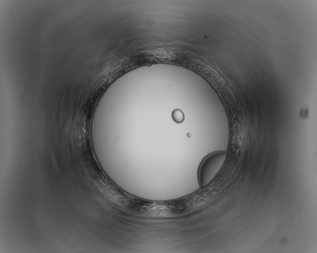 X0000097920518200803281429