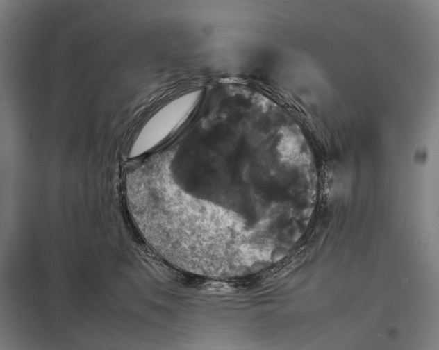 X0000097920519200803281429