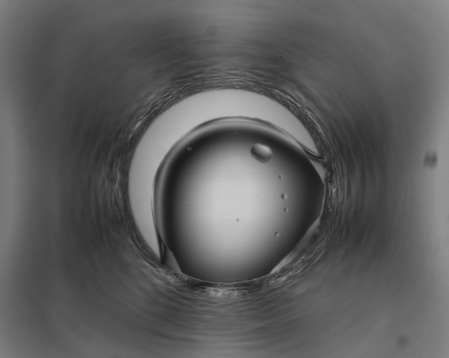 X0000097920520200803281429