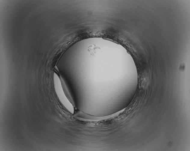 X0000097920521200803281429