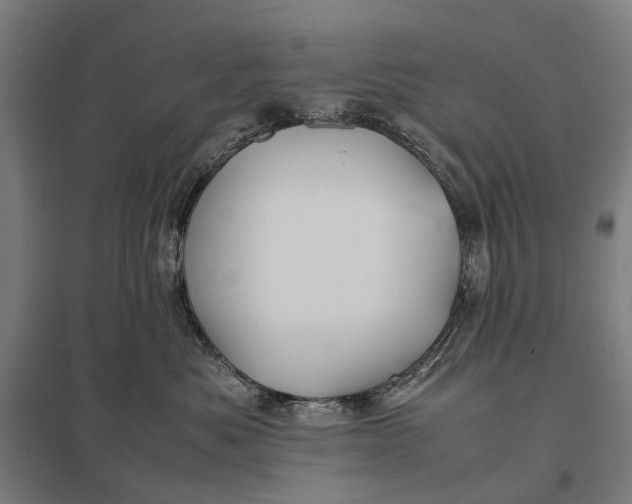 X0000097920525200803281429