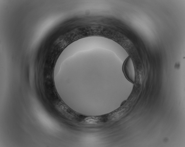 X0000097920526200803281429