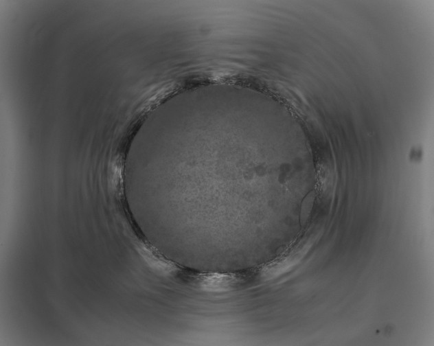 X0000097920527200803281429