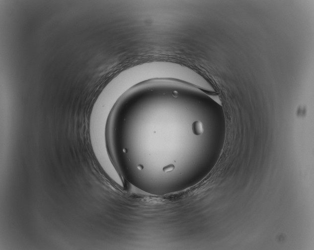 X0000097920528200803281429