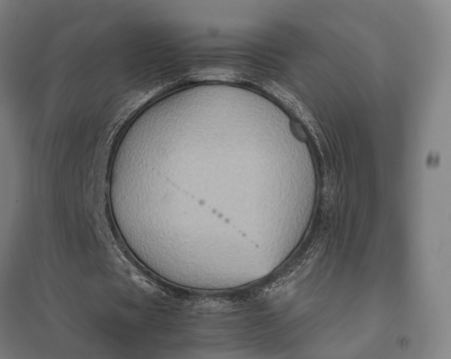 X0000097920529200803281428