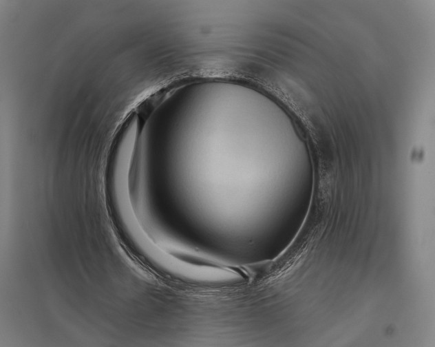 X0000097920530200803281428