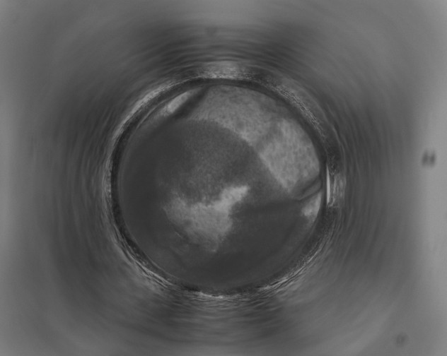 X0000097920531200803281428