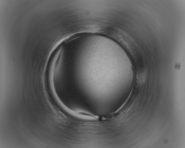 X0000097920532200803281428