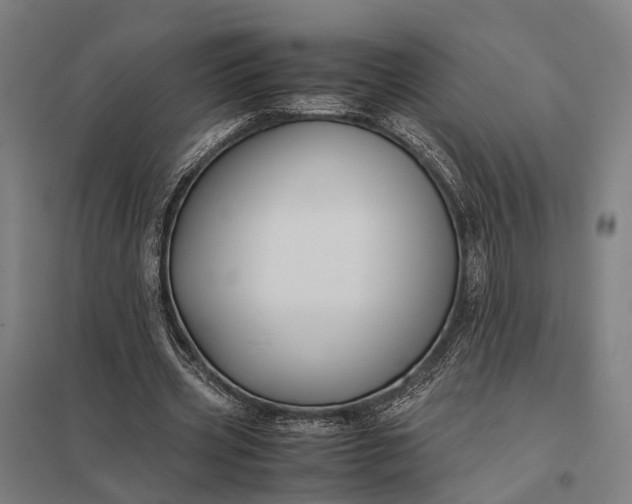 X0000097920533200803281428