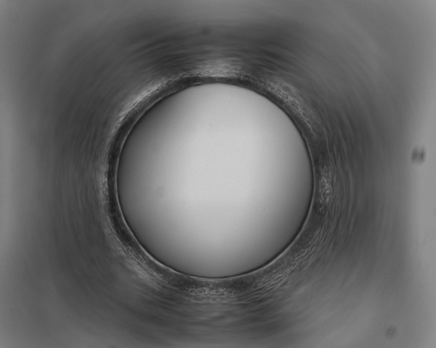 X0000097920535200803281428