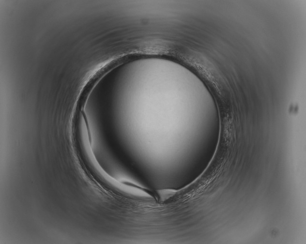 X0000097920536200803281428