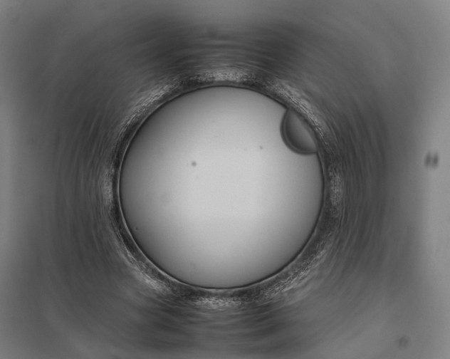 X0000097920537200803281428