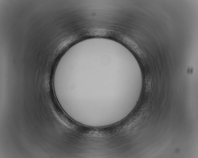 X0000097920538200803281428