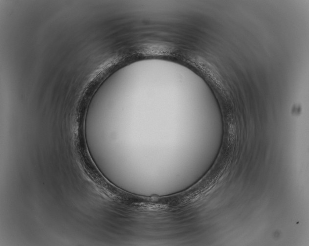 X0000097920539200803281428