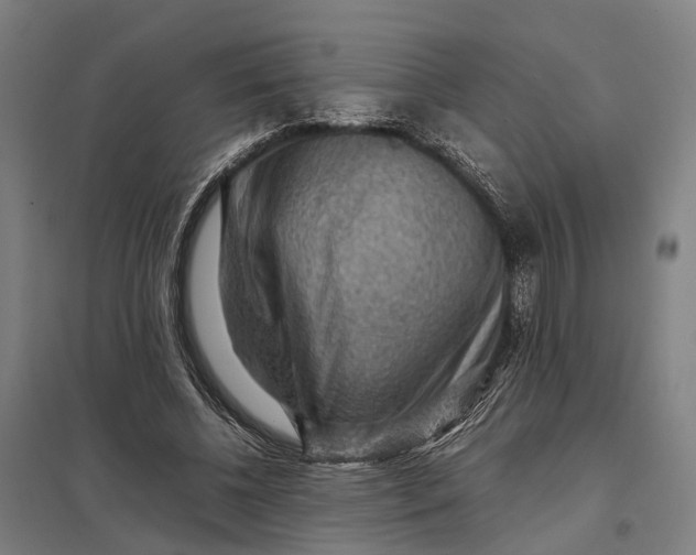 X0000097920540200803281428