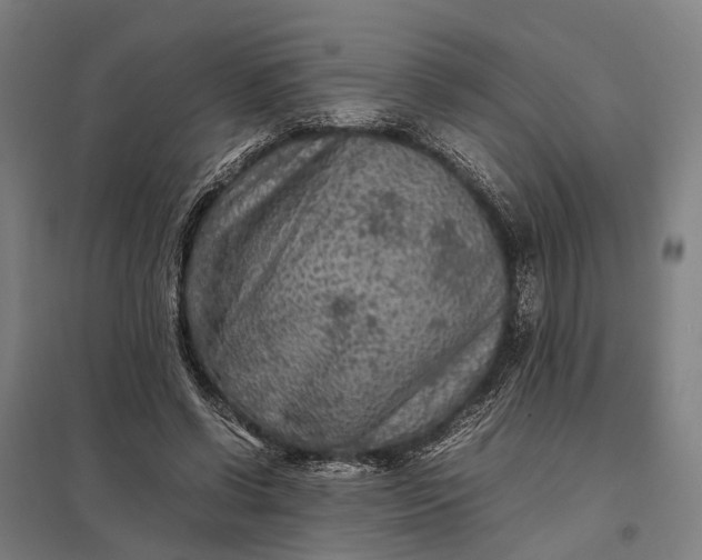 X0000097920542200803281428