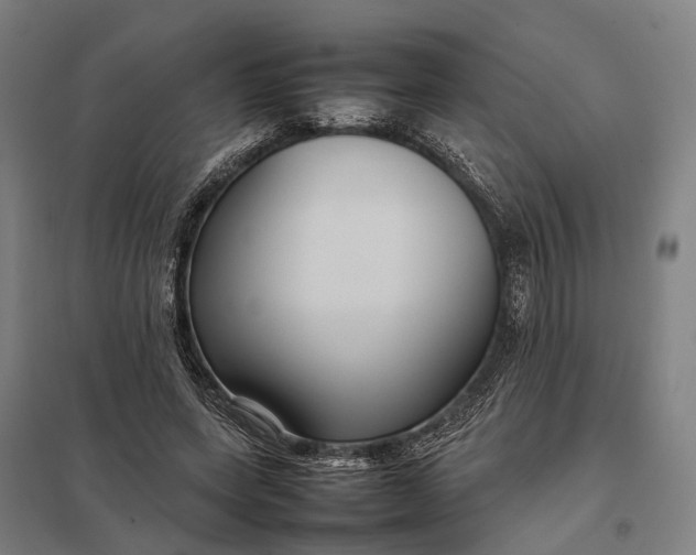 X0000097920543200803281428