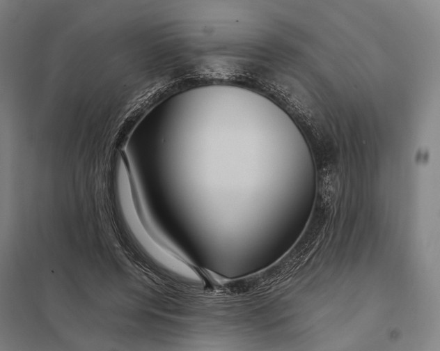 X0000097920544200803281428