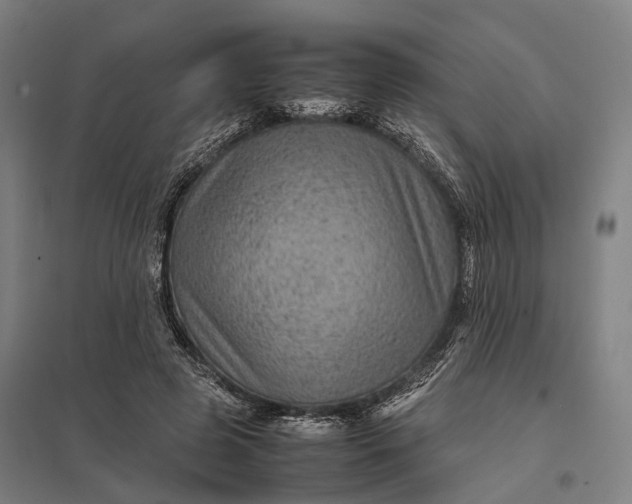 X0000097920545200803281428